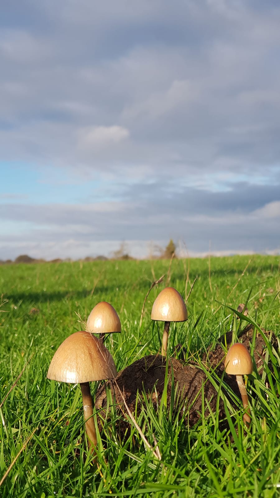 WhatsApp Image 2025-11-03 at 18.40.31