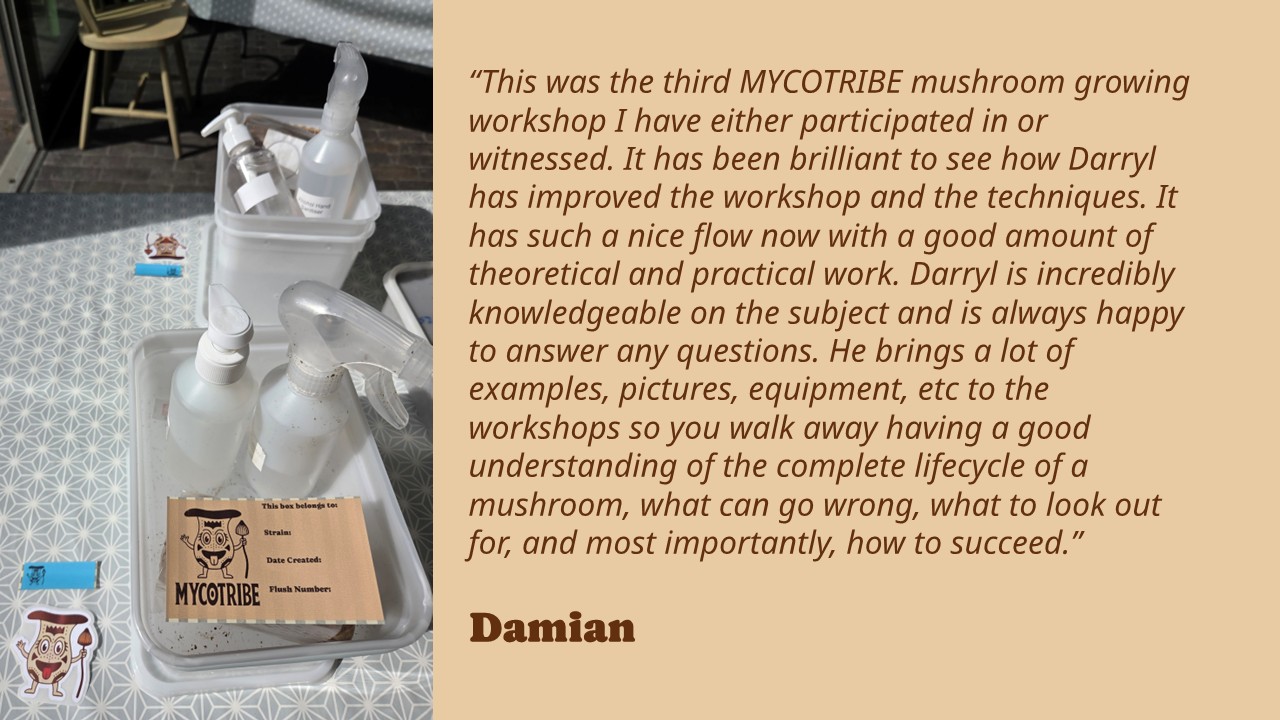 D Testimonial Slides
