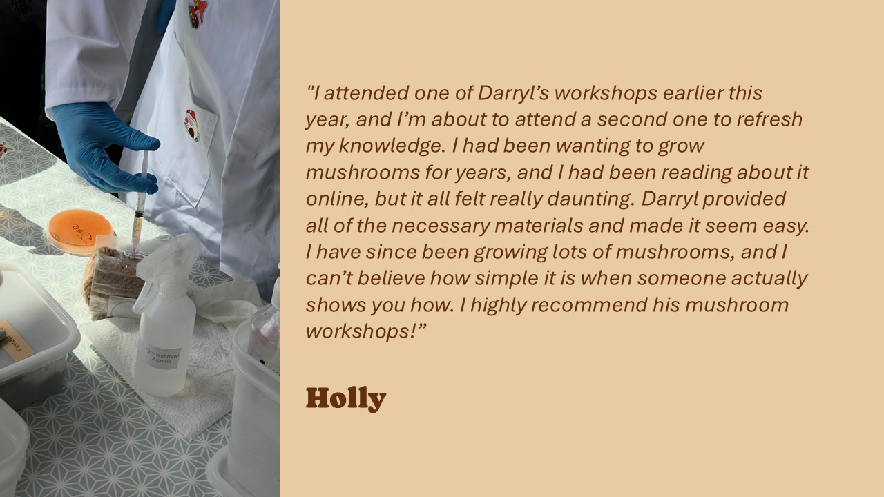 H Testimonial Slides