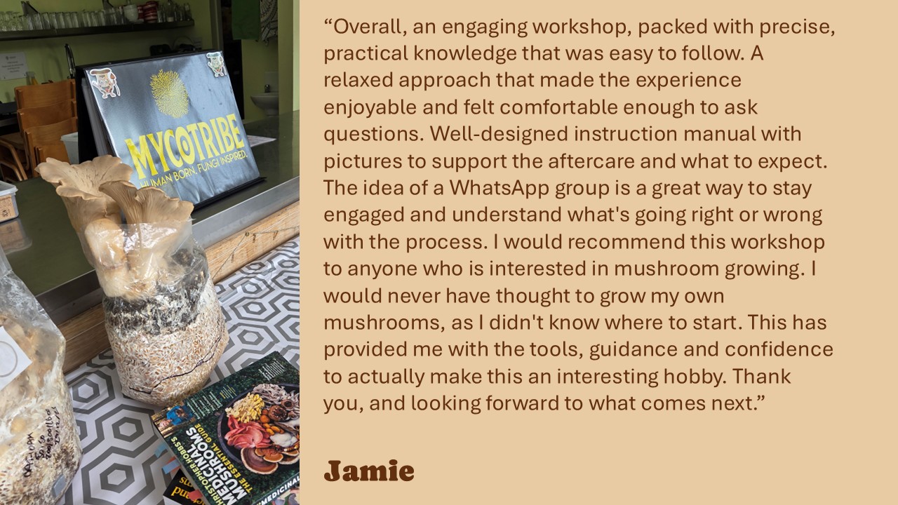 J Testimonial Slides