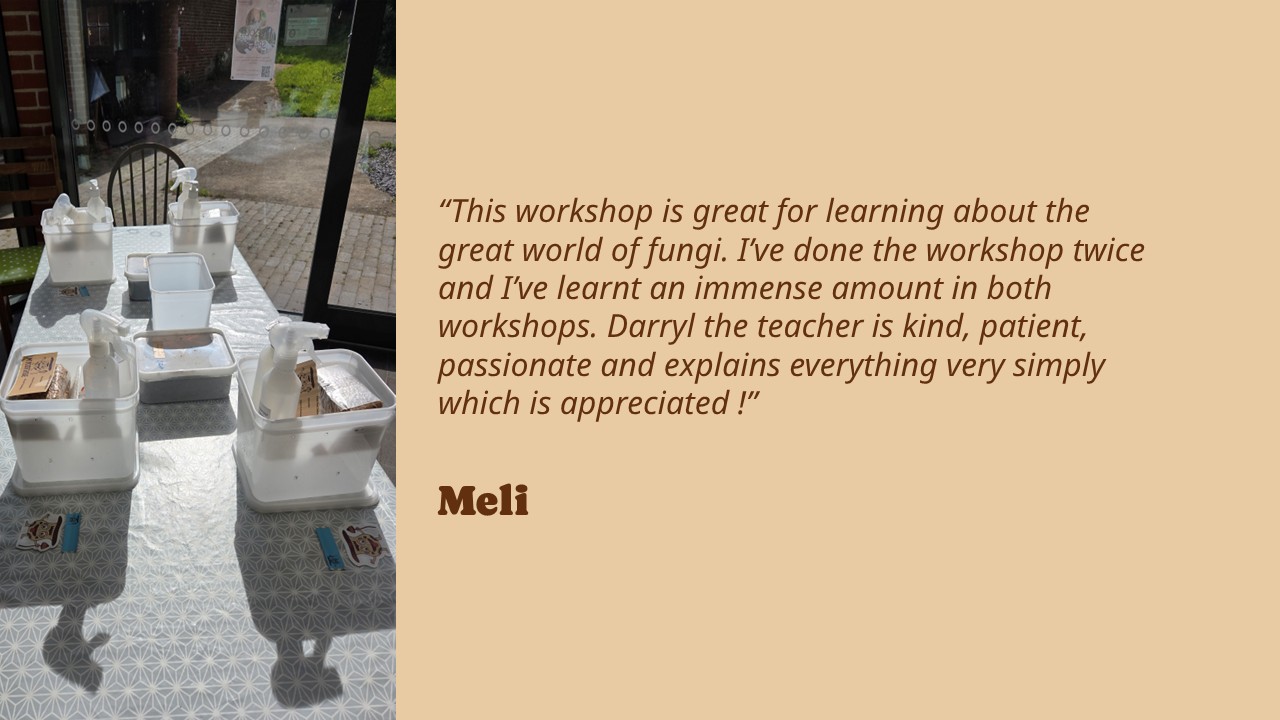 M Testimonial Slides