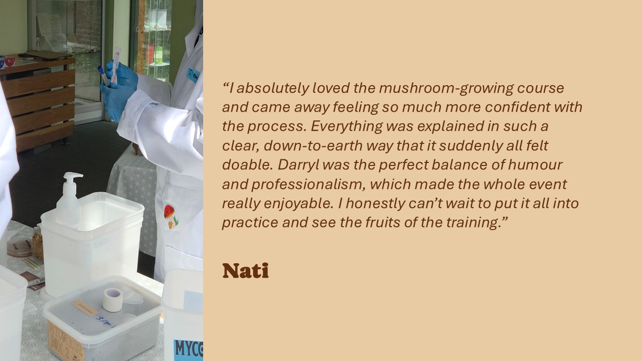N Testimonial Slides