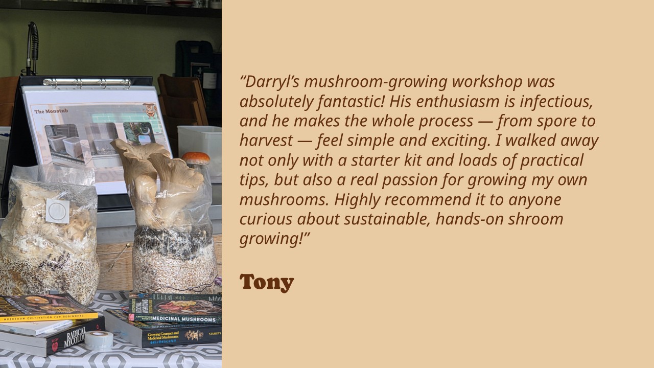 T Testimonial Slides